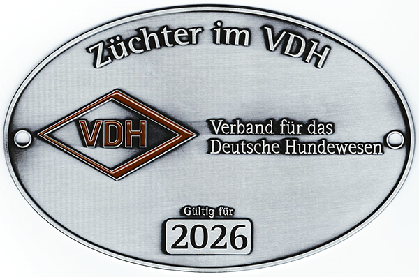 VDH-Züchter-Plakette 2026 English Cocker Spaniel vom Erfurter Kakteenhof